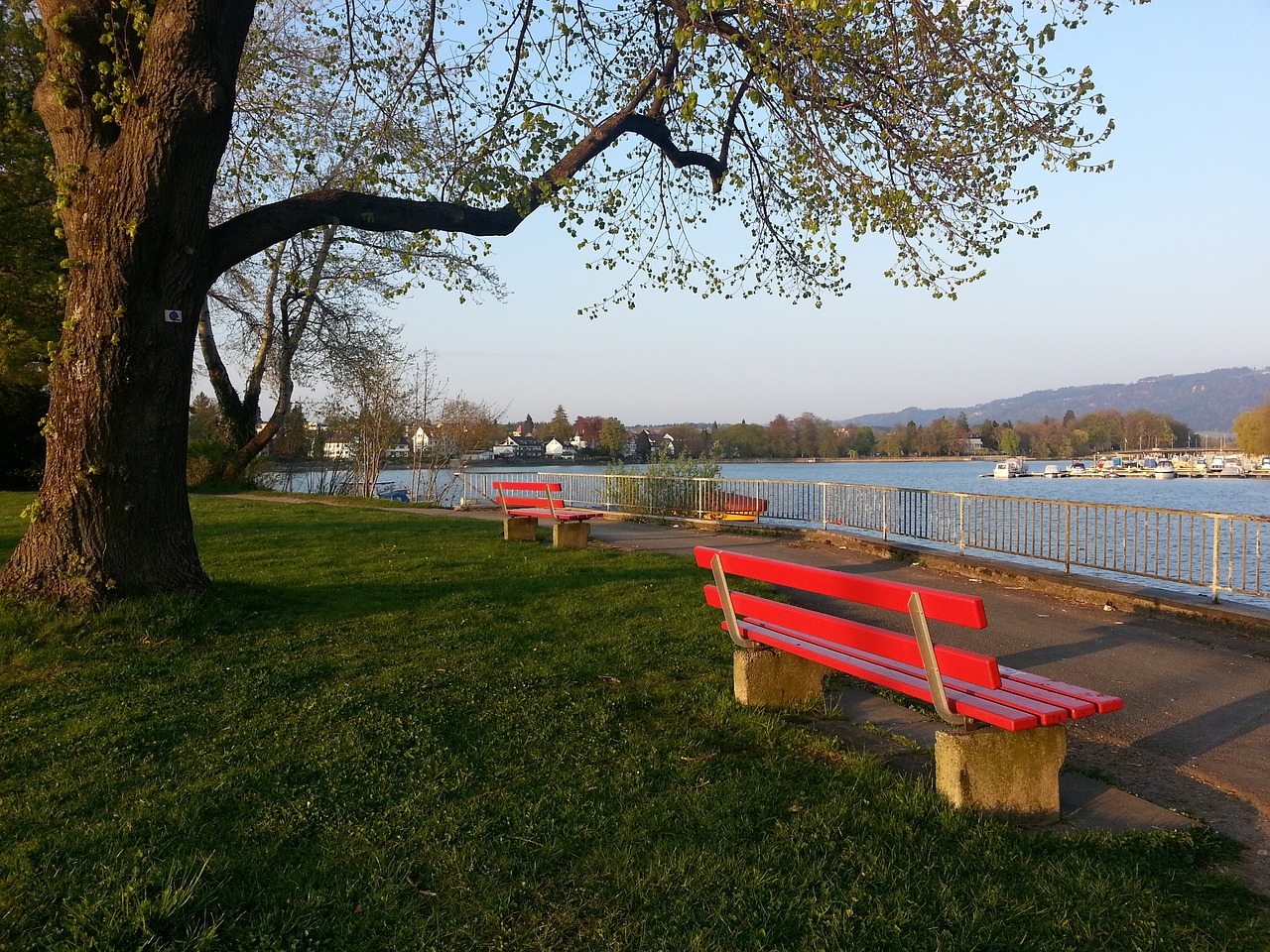 广州队成功 广州队成功