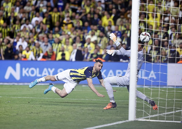 赛的一大亮 赛的一大亮